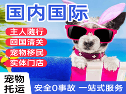 普宁航空物流国际宠物托运 【国
